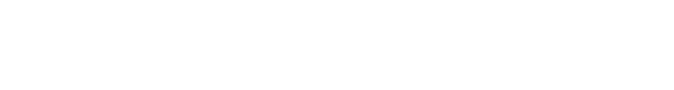Syndanet